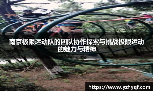 南京极限运动队的团队协作探索与挑战极限运动的魅力与精神