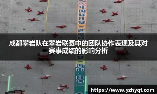 熊猫体育直播