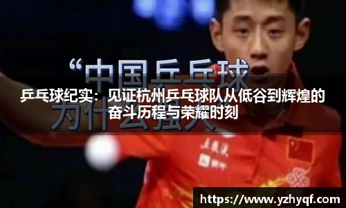 乒乓球纪实：见证杭州乒乓球队从低谷到辉煌的奋斗历程与荣耀时刻