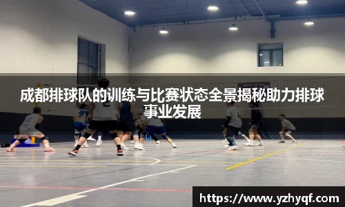 成都排球队的训练与比赛状态全景揭秘助力排球事业发展