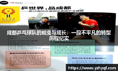 成都乒乓球队的蜕变与成长：一段不平凡的转型历程纪实