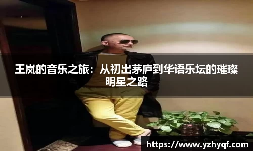 王岚的音乐之旅：从初出茅庐到华语乐坛的璀璨明星之路