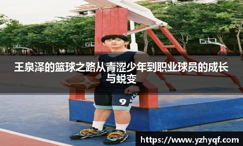 熊猫体育官网